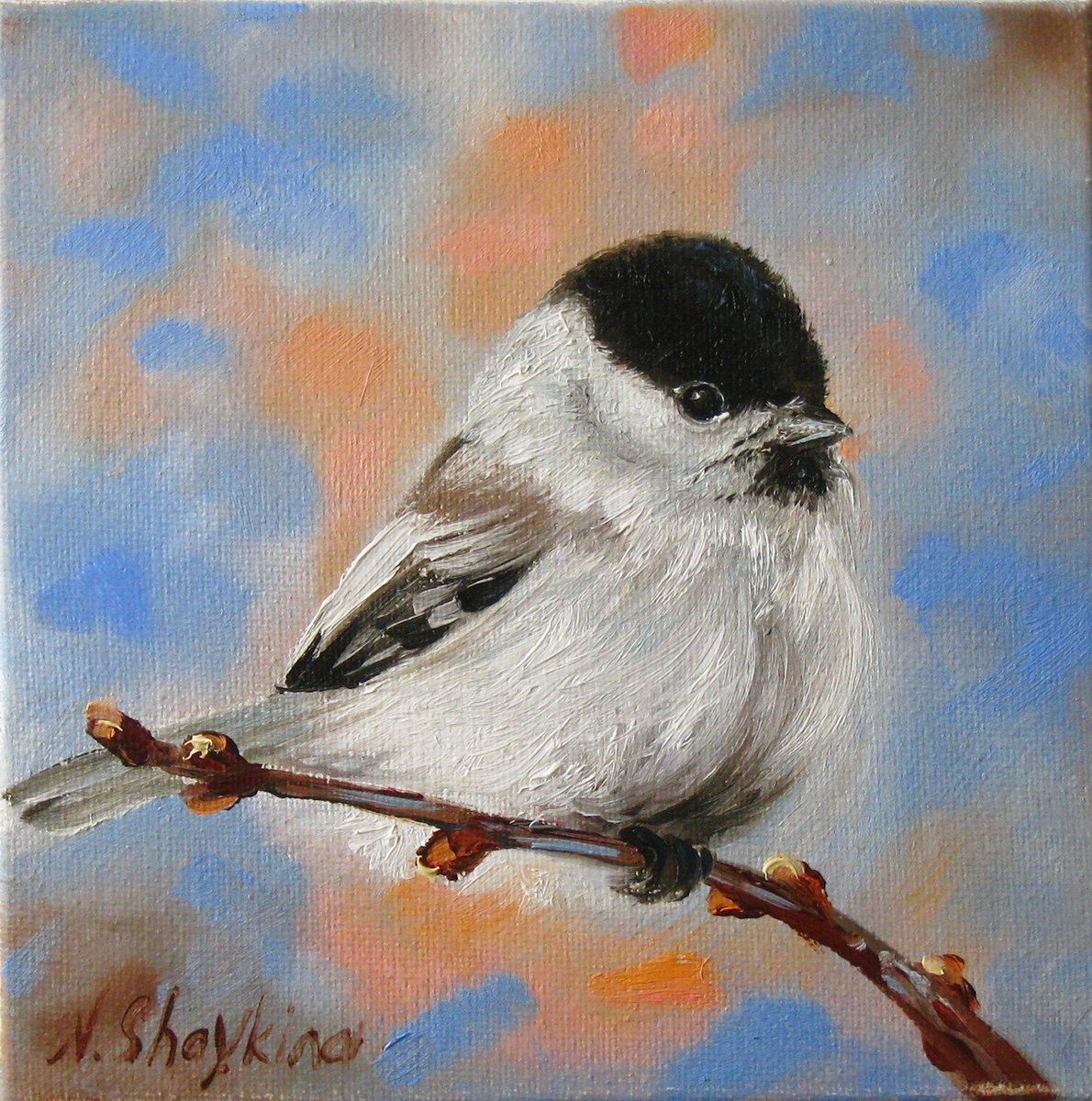 Photorealistic Oil Painting , Bird By Natalia Shaykina, 6 X 6, Artwork For Sale On Artfinder