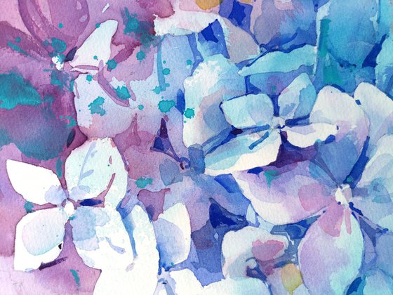"Hydrangea in romantic color" original watercolor artwork
