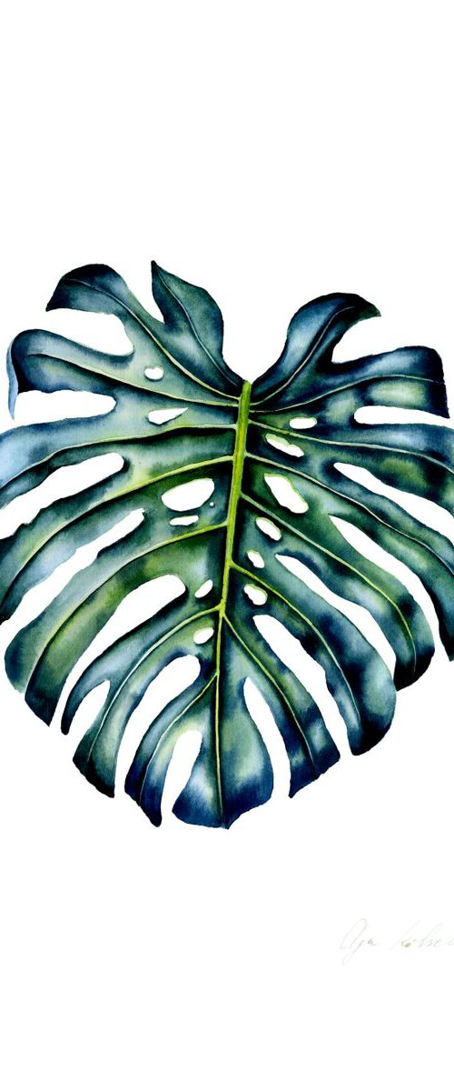 Emerald Monstera by Olga Koelsch