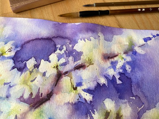 Cherry blossom