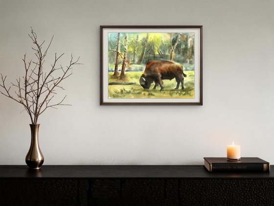 Bison in the Forest