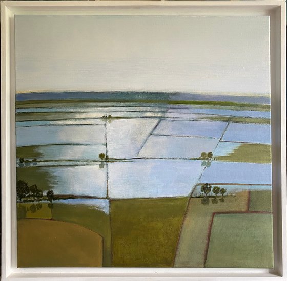 Wessex Marshes