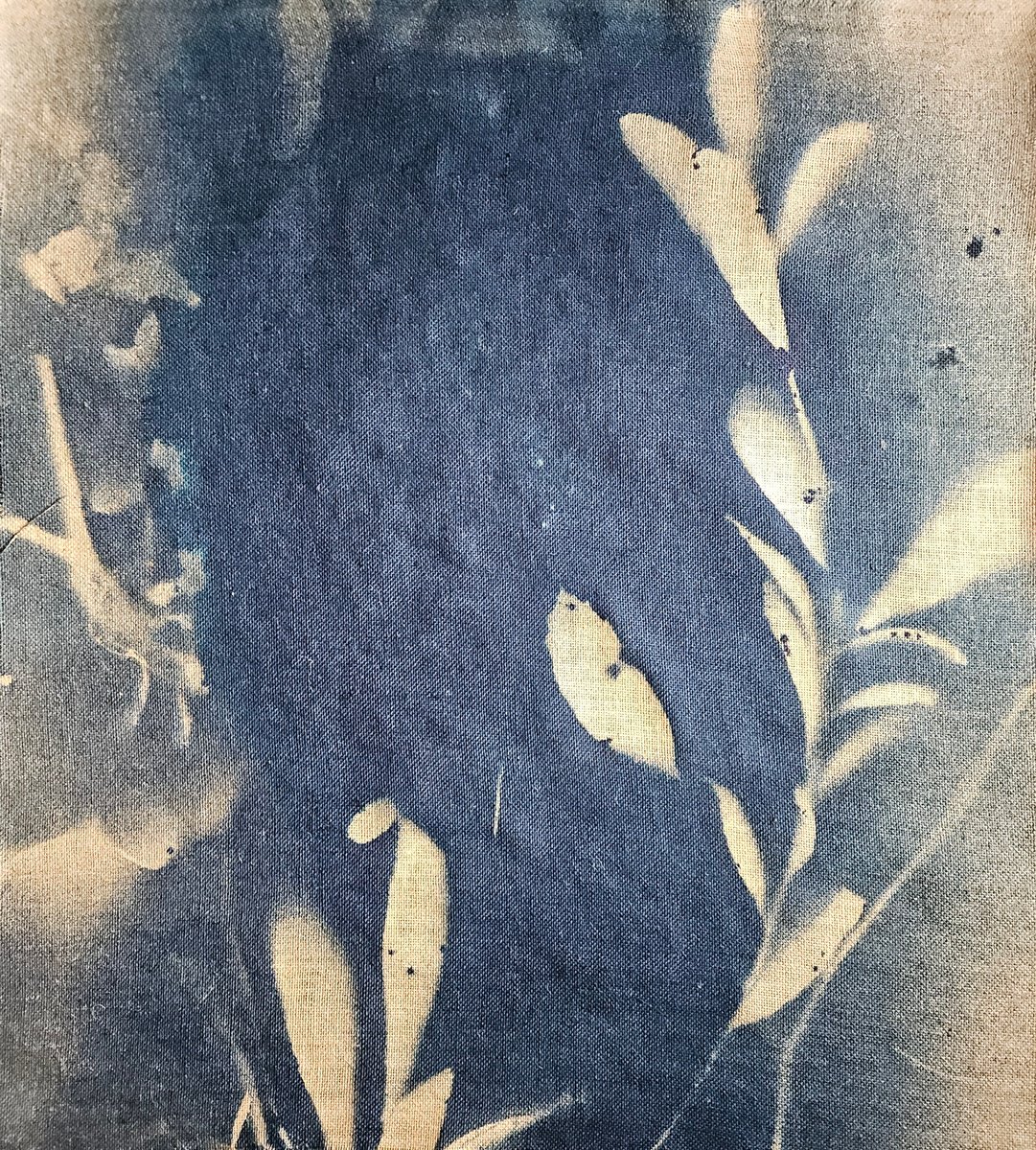 Surrealistic Botanical Acrylic Painting By Stefano Mazzolini, 35 X 39", Rf40, Original Artwork