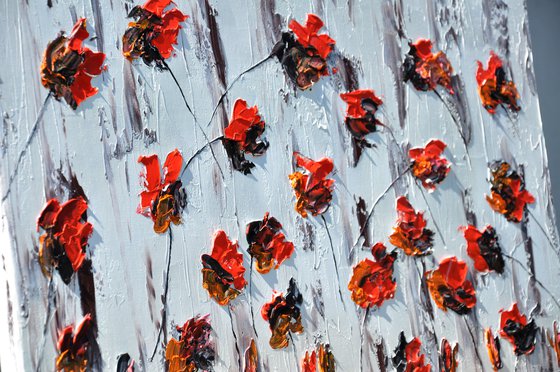 Poppies 3