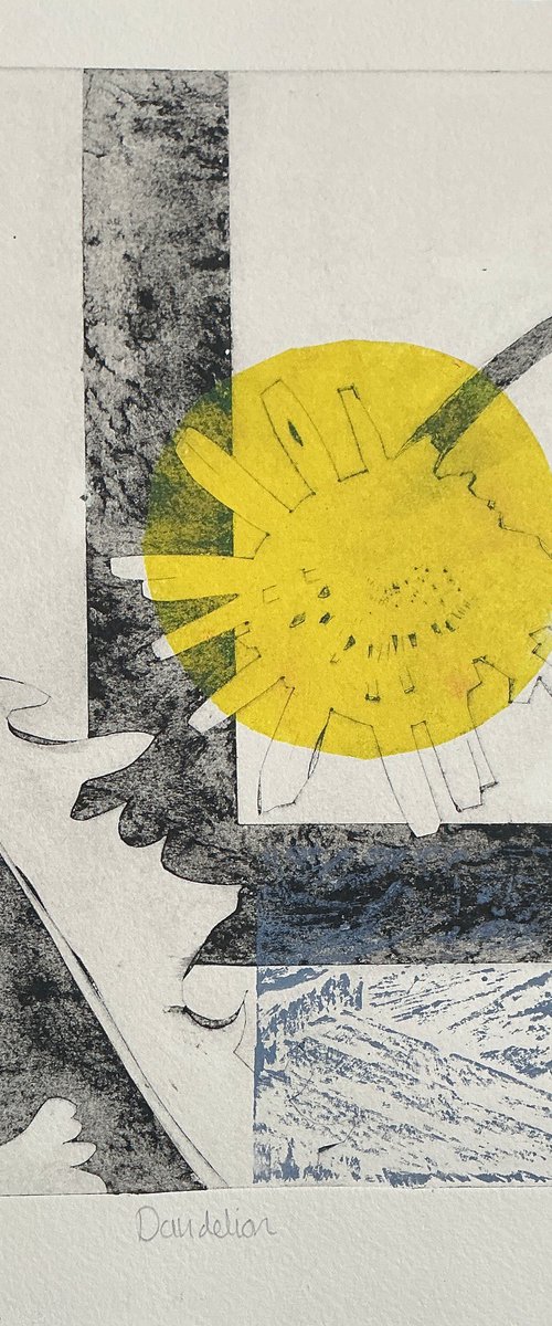 Dandelion by Sandra Haney