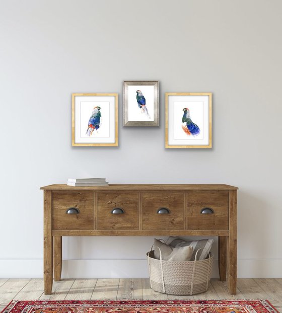 Beautiful Pheasant Bird in Vibrant Colors - Perfect Wall Art for Nature Lovers 2