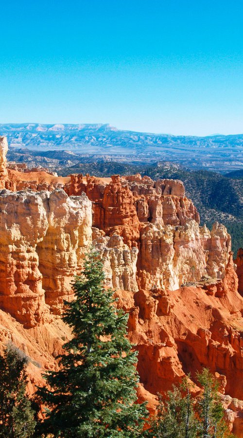 Agua Canyon by Alex Cassels