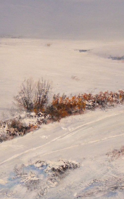 The memory of one winter by Ivan  Grozdanovski