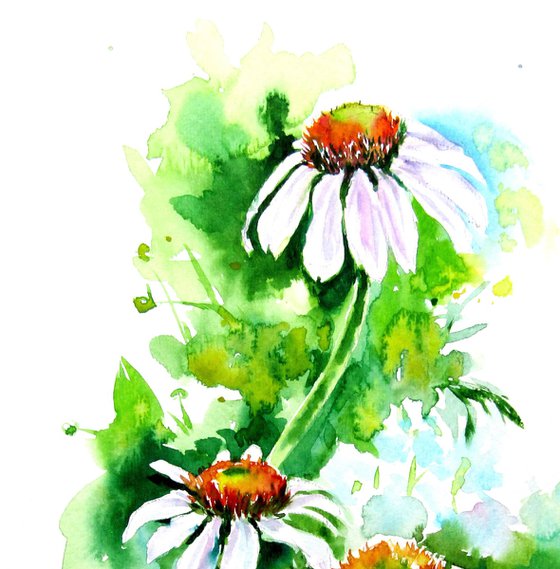 Flowers of summer
