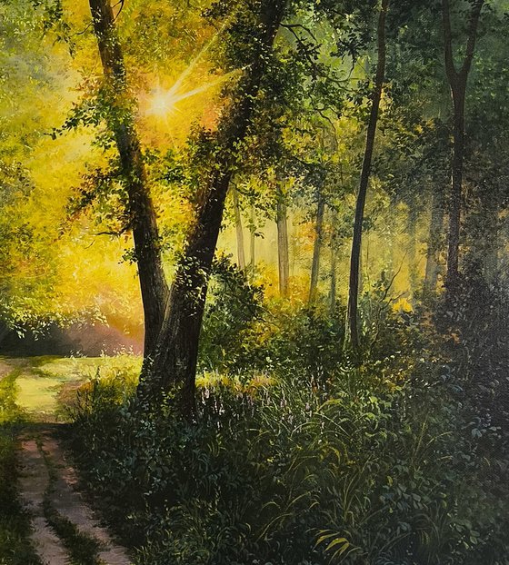 Sunlit Forest Path