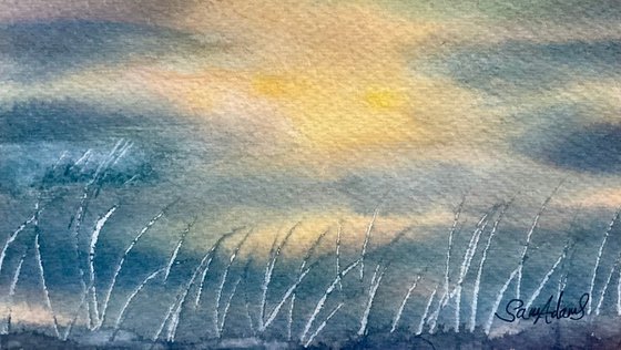 Sunset grasses