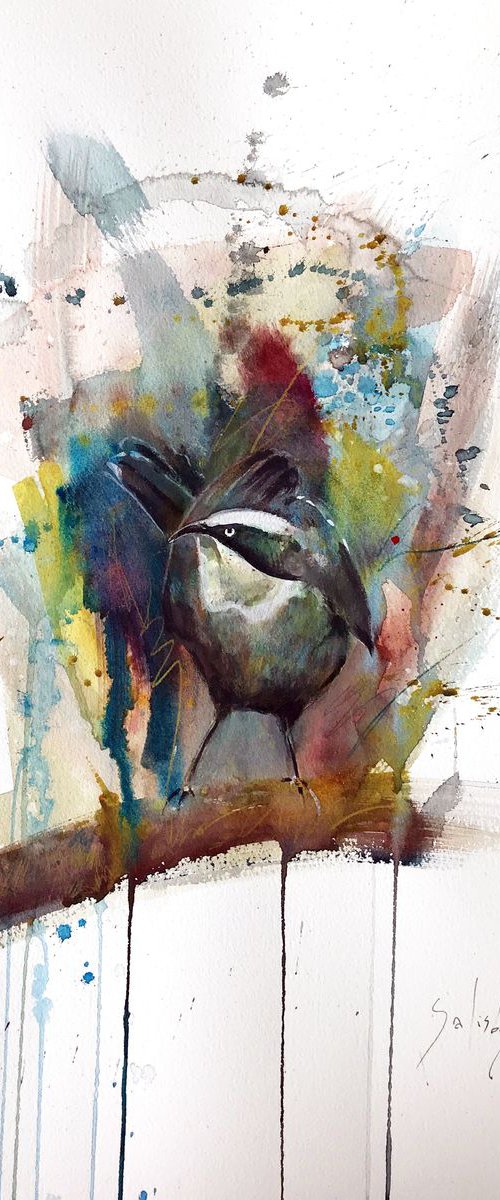 Grey-crowned Babbler by Trevor Salisbury