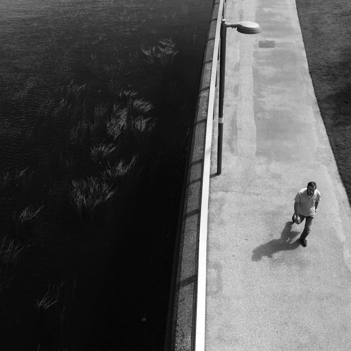 daydreaming-14x14-inches-c-type-unframed-photograph-by-amadeus-long