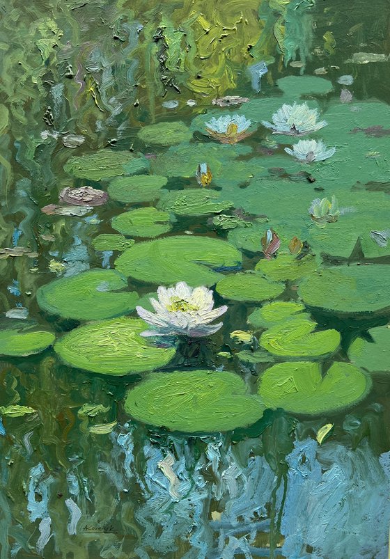 Water Lilies III