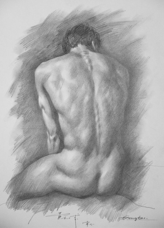 Drawing pencil male nude back #17330