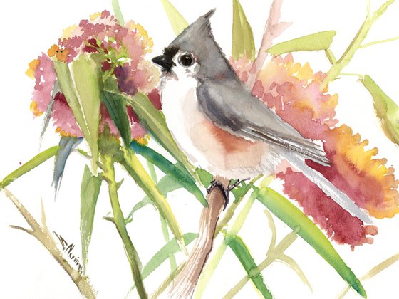 Titmouse bird and Flowers