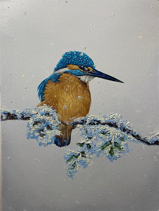 Kingfisher. Winter day
