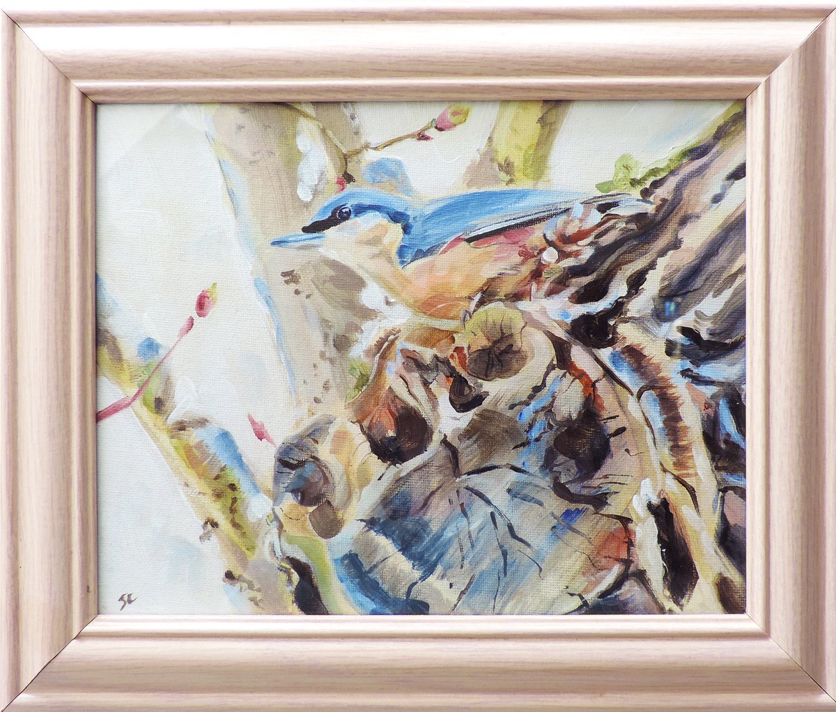 Nuthatch up High (framed) by Sheila Chapman