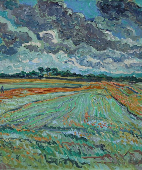 Storm over poppy field by Nigel Dickerson