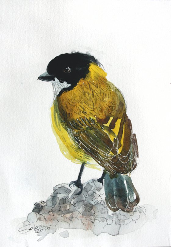 Bird II