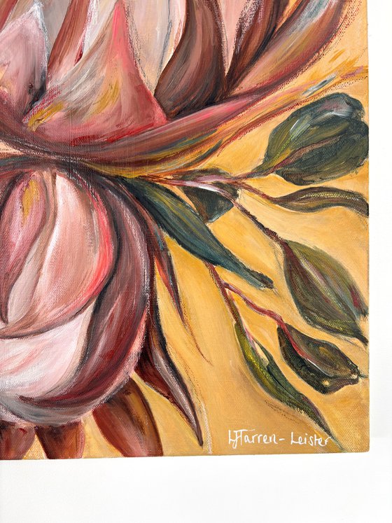 Proteas in Warm Light