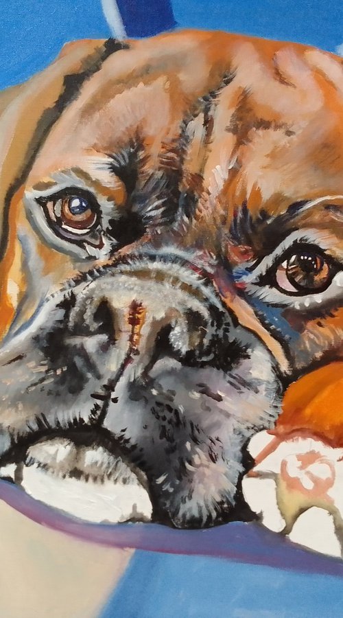 Boxer dog by Soso Kumsiashvili