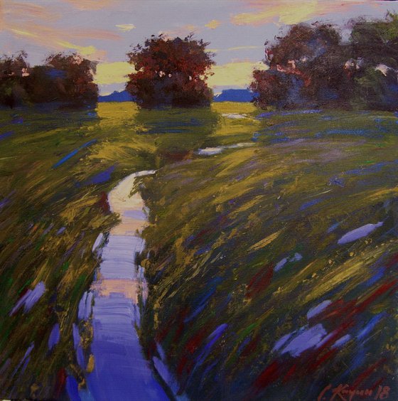 creek in a meadow