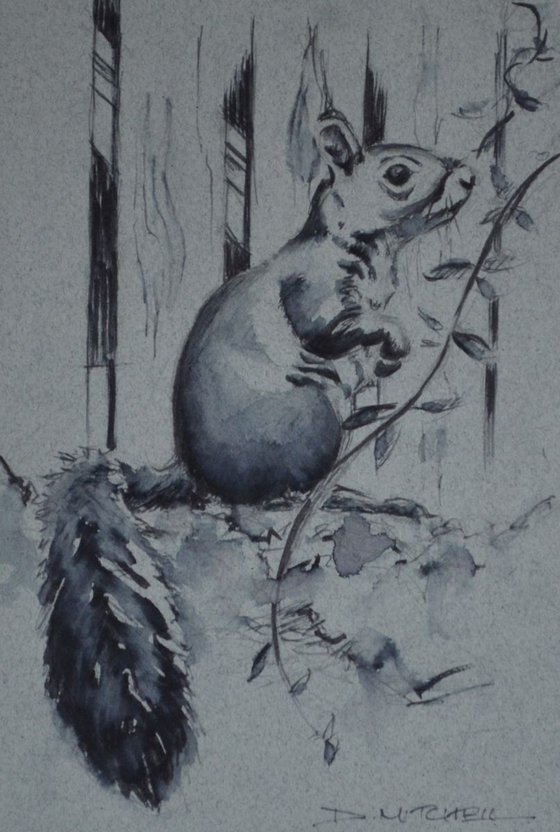Grey Squirrel Ink Sketch