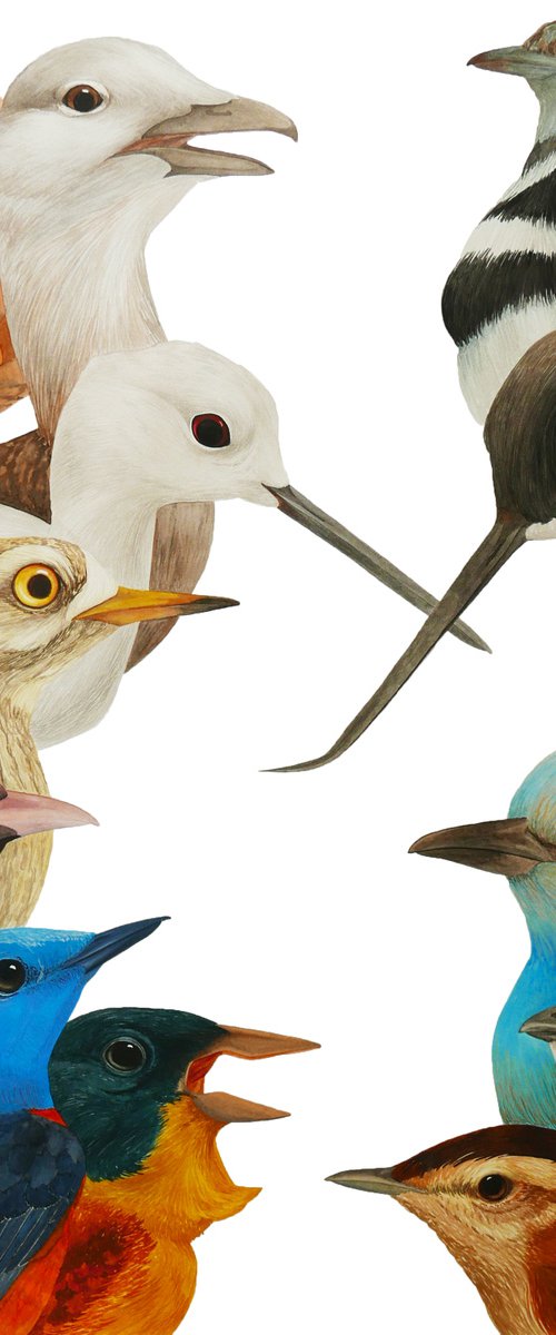 11 birds by Karina Danylchuk