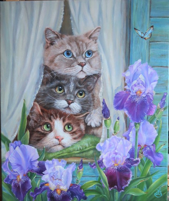Cats Trio