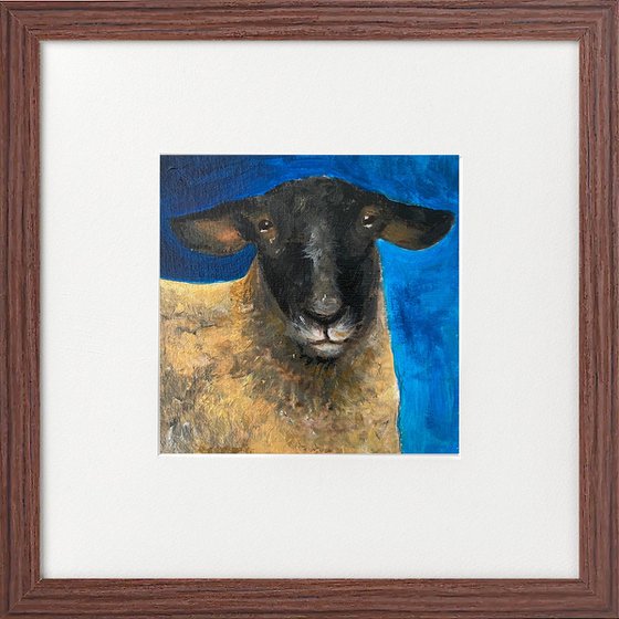 Three sheep portraits framed