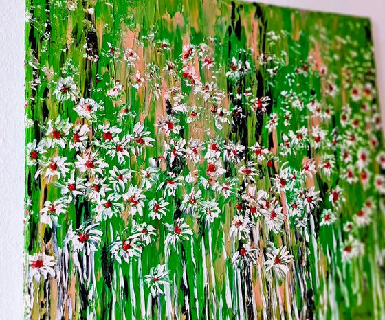 Daisies In The Grass 5