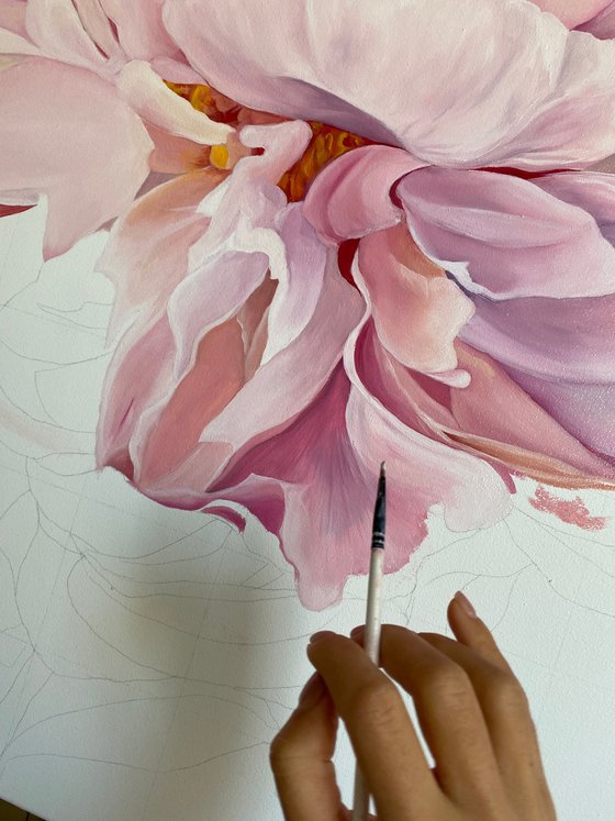 Pink Peony