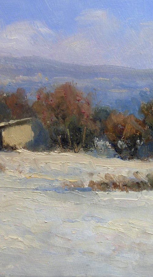 First Snowfall by Pascal Giroud