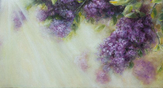 Sunny Lilac