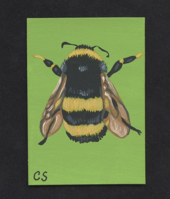 ACEO ATC Original Miniature Painting Bumble Bee Insect Wildlife Art-Carla Smale