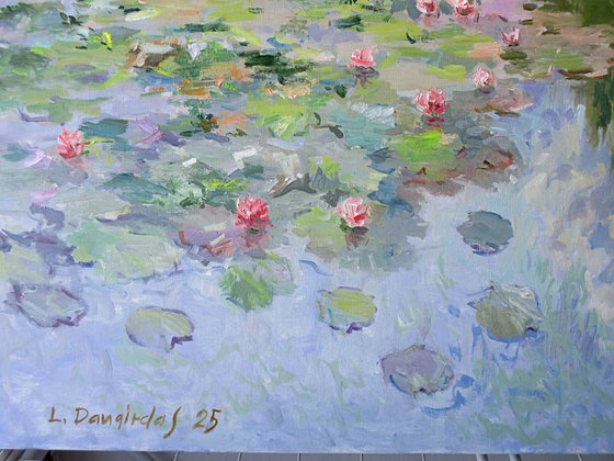 Water Lilies in the Lake