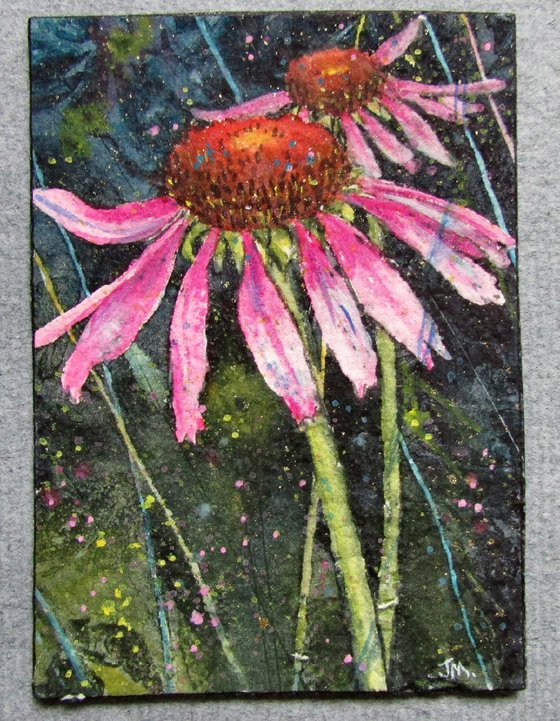 Purple Coneflower