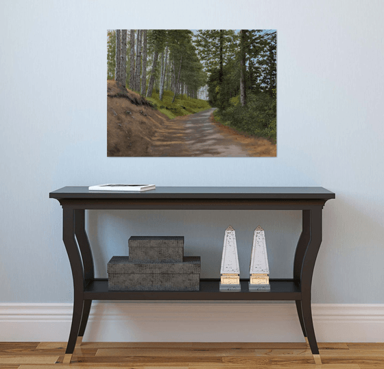 Rocky Road Through the Pine Forest