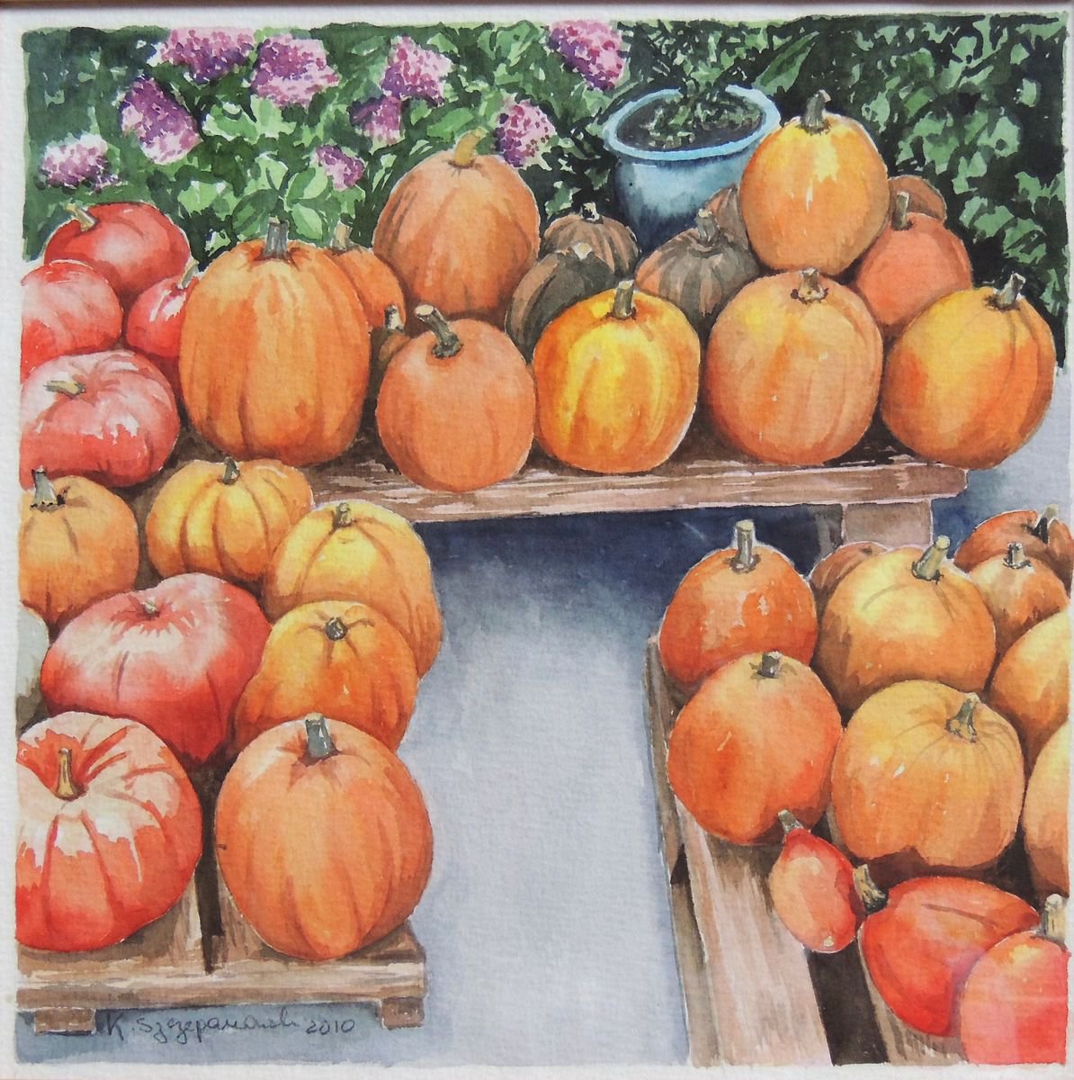 Pumpkins galore by Krystyna Szczepanowski