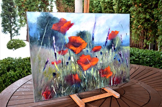 Poppy meadow