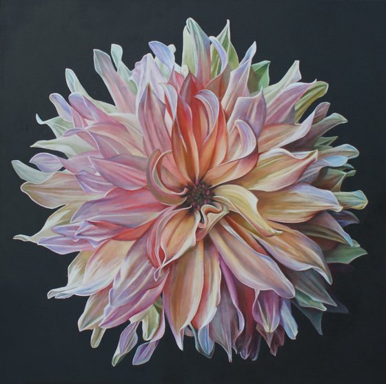 Petal Power Dahlia