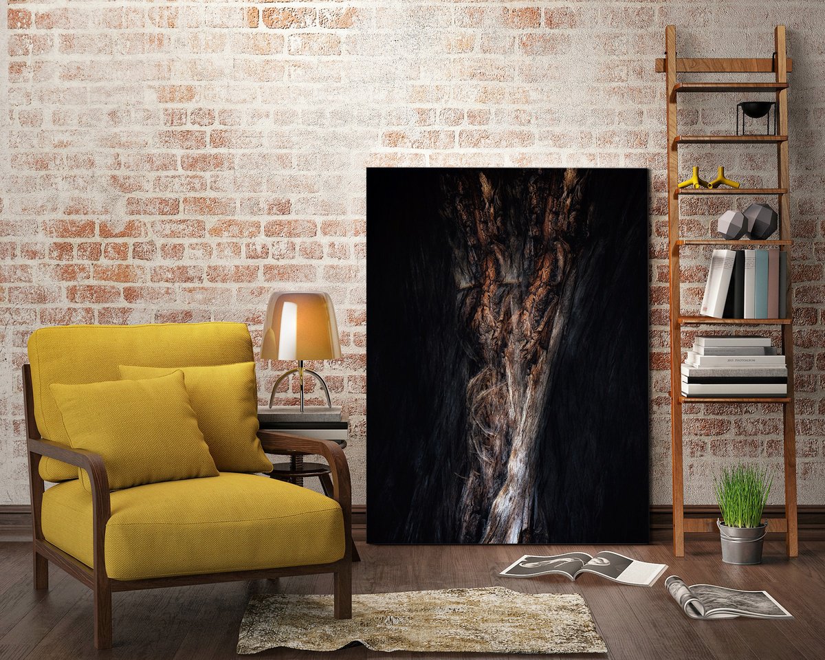 Abstract Botanical Photograph By Karim Carella, 31 X 45", Lifeblood #36, Original Artwork