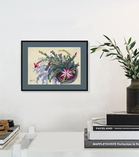 Christmas cactus