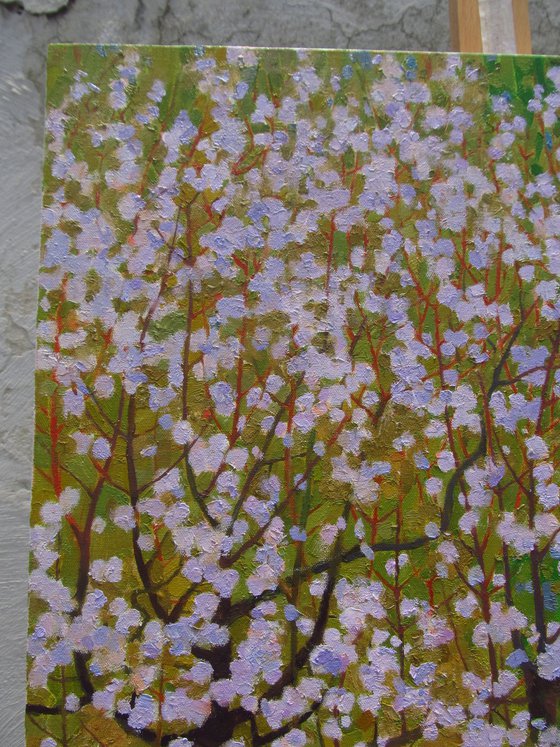 Silent Companions in Bloom