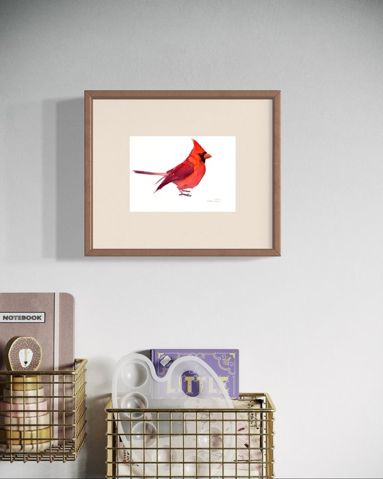 Cardinal Bird