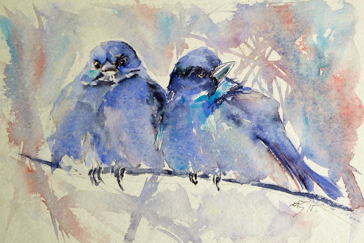 Mountain bluebirds by Kovacs Anna Brigitta