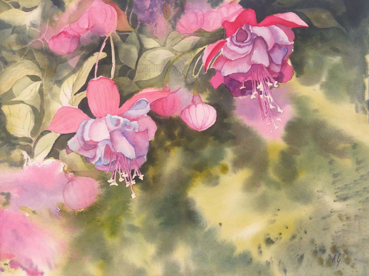 Impressionistic Botanical Watercolour By Aneta Gajos, 16 X 12, Turkish Fuchsia, Original Artwork