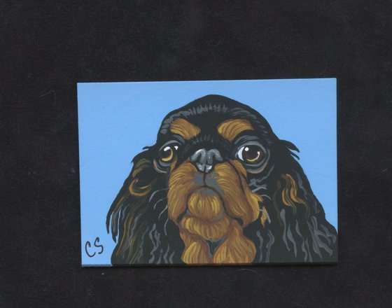 ACEO ATC Original Painting English Toy Spaniel Pet Dog Art-Carla Smale