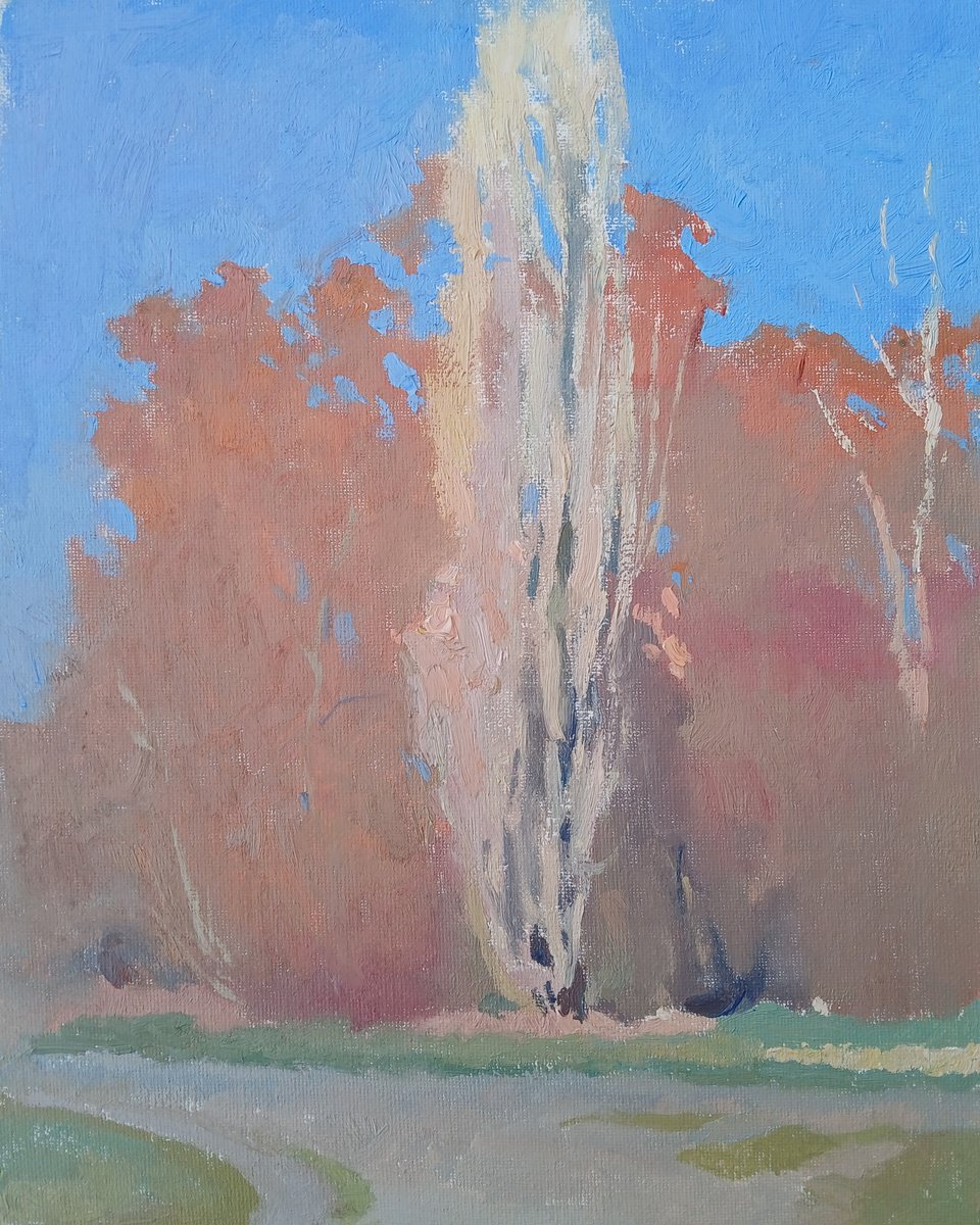 Impressionistic Landscape Oil Painting By Vasyl Koval, 9 X 12", Silver Poplar, Original Artwork